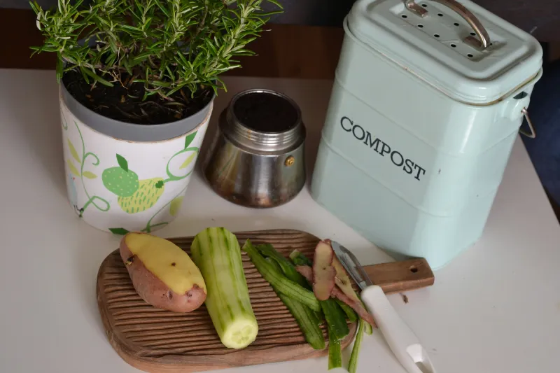 Foodscraps on a kitchen counter