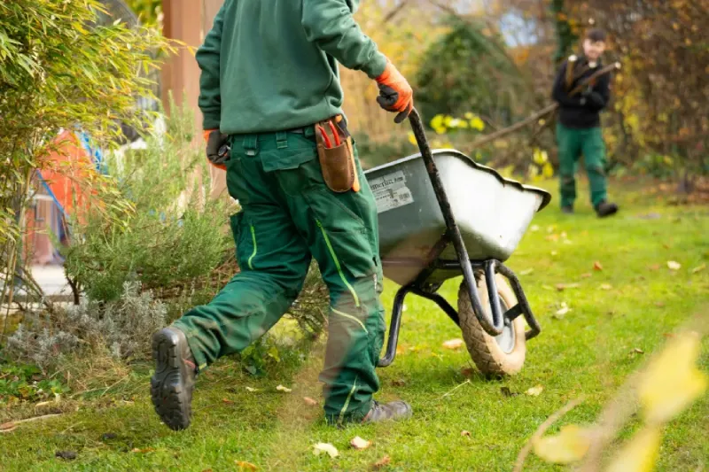 Man pushing a wheelbarrow near a garden