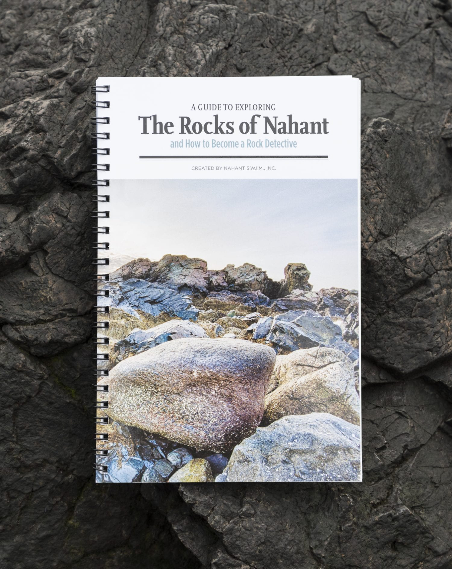 The Rocks of Nahant book