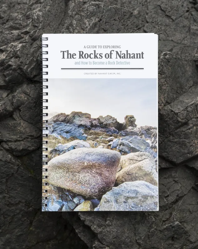 The Rocks of Nahant book